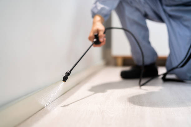 Bed Bug Pre-Treatment Preparation Assessment in Wortham