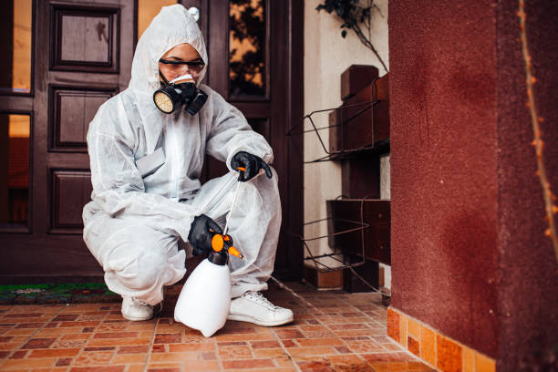 Multi-Unit and Airbnb Bed Bug Protocol in Wortham
