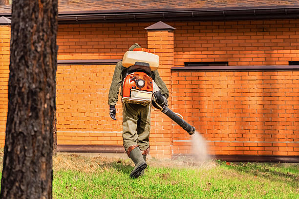 Bed Bug Clearance Verification and Documentation in Wortham
